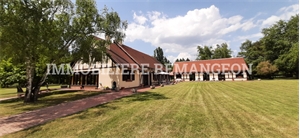 demeure à la vente -   45500  AUTRY LE CHATEL, surface 399 m2 vente demeure - UBI421117090